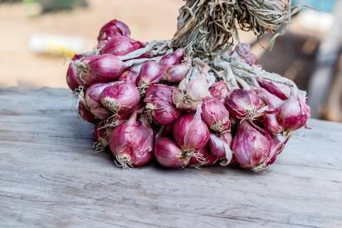 Shallots on wood table Stock Photos