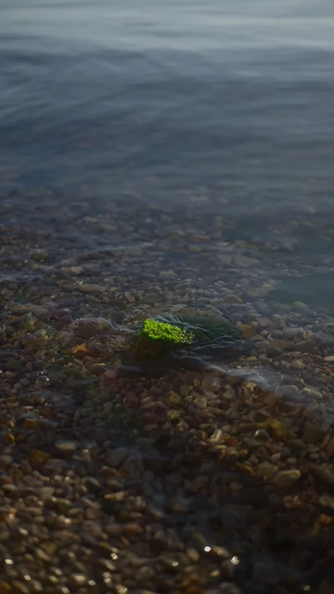 Shallow Adriatic shoreline with algae covered rock, Montenegro Vídeos de archivo 329413551