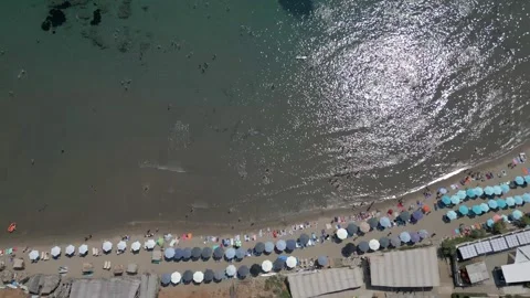 Shallow beach Stock Footage 251147564