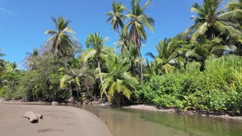 Shallow beach river in rainforest jungle - slow motion track forward Stock Footage 302692298