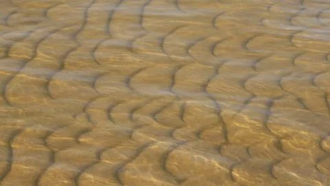 Shallow bottom - texture or background Foto stock