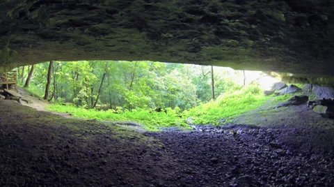 Shallow Cave Cedar Sink Mammoth Cave Stock Footage 33291778