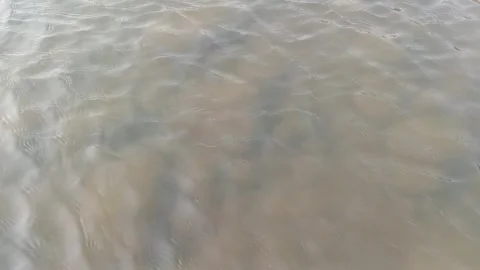 Shallow clear river water flowing with small ripples over riverbed stones 库存影片 346765384