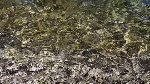 Shallow clear stream over rock Stock Footage 128160111