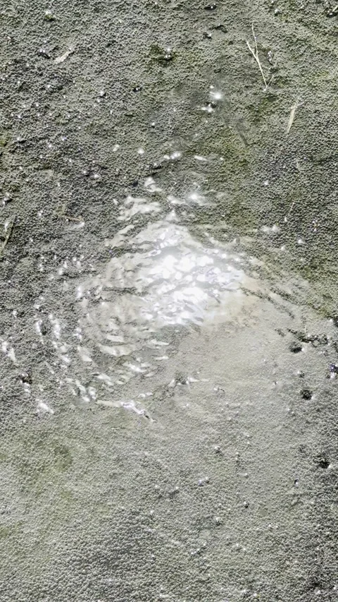 Shallow Clear Stream Water Flowing Over Rock Stock Footage 345685206