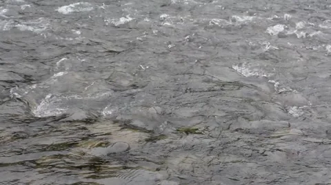 Shallow cold rapid river with stones and pebbles on the bottom Stock Footage 40876443