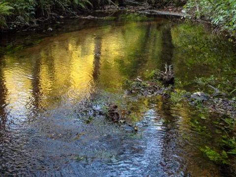Shallow creek - Melide Stock Photos