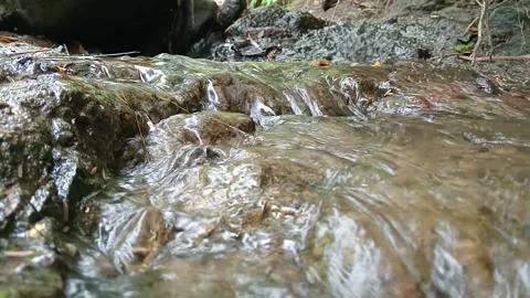 Shallow Creek Water Moving Over Stones in Natural Stream Stock Footage 329782375