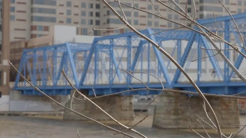 Shallow Depth of Field Bridge and Tree Branches Stock Footage 85368255