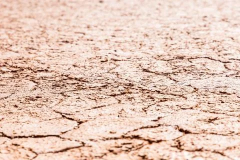 Shallow Depth of Field dry mudflat closeup 스톡 사진