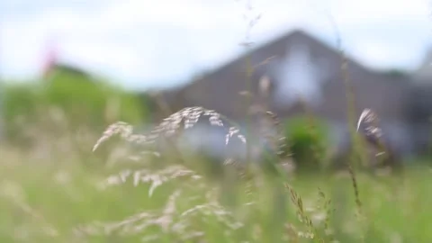 Shallow Depth of Field near Field of Malmedy Massacre in World War Two Stock Footage 325351890