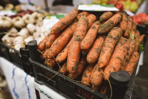 Shallow depth of field (selective focus) image with organic fresh carrots cov Stock Photos