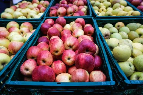 Shallow depth of field (selective focus) image with organic fresh apples for  Stock Photos