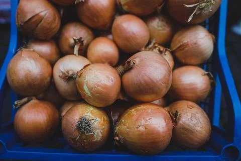 Shallow depth of field (selective focus) image with organic fresh yellow onio Foto stock