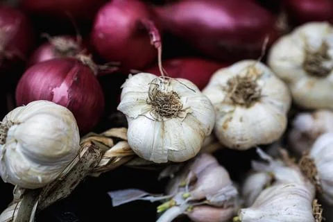 Shallow depth of field (selective focus) image with organic fresh garlic for  Stock Photos