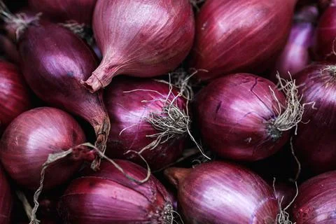 Shallow depth of field (selective focus) image with organic fresh red onions  Stock Photos