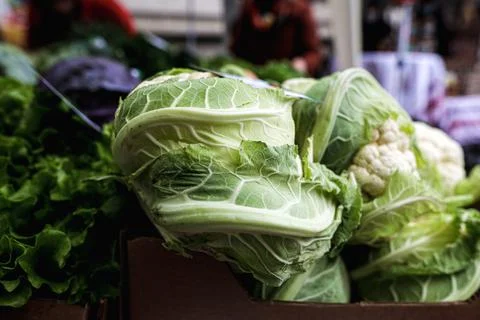 Shallow depth of field (selective focus) image with organic fresh lettuce for Stock-Fotos