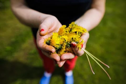 Shallow depth of field (selective focus) details with the hands of a senior w Stock Photos