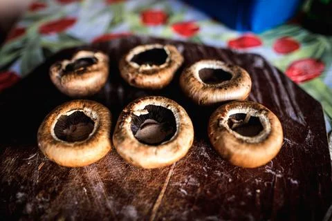 Shallow depth of field (selective focus) details with brown mushrooms (Agaric Stock Photos