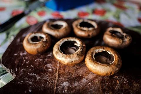 Shallow depth of field (selective focus) details with brown mushrooms (Agaric Stock-Fotos