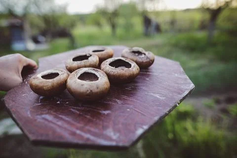 Shallow depth of field (selective focus) details with brown mushrooms (Agaric Foto stock