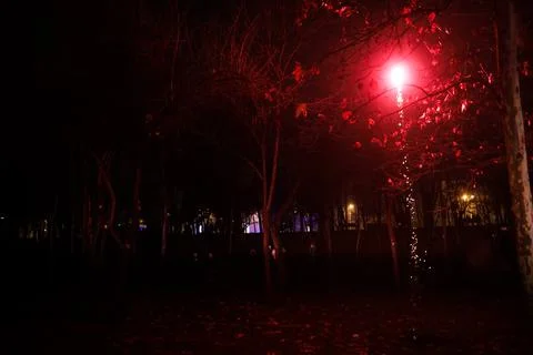 Shallow depth of field (selective focus) details with firecrackers launched f Stock Photos