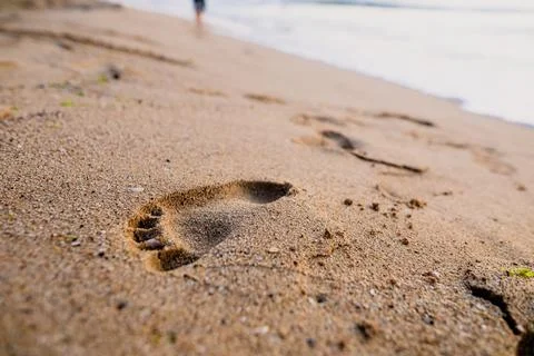 Shallow depth of field (selective focus) details with footprints in the beach Stock Photos