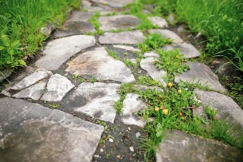 Shallow depth of field (selective focus) image with medieval stone path ins.. Stock Photos