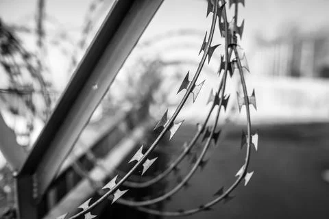 Shallow depth of field (selective focus) image with razor wire. Foto stock