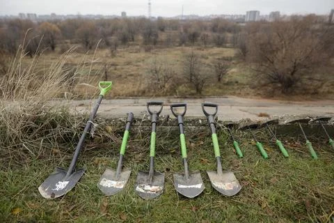 Shallow depth of field (selective focus) image with shovels and hoes with a.. Stock Photos