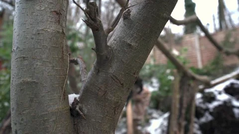Shallow depth of field view of a person hammering logs with tree 库存影片 148841941