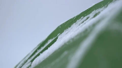 Shallow depth of field view of snowflakes on a green tent Video stock 146804021