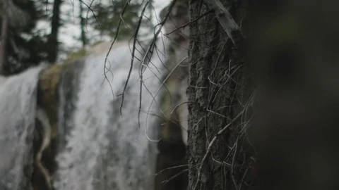 Shallow Depth of Field waterfall behind tree branches out of focus Stock Footage 81418151