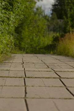 Shallow depth walkway through lush greenery and patterned paving Stock Photos