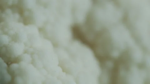 Shallow DOF pulling focus on ripe Brassica genus vegetable 4K video Stock Footage 171445623