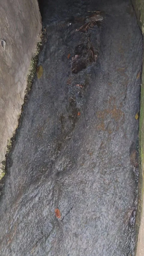 A shallow drainage stream Video stock 311240832