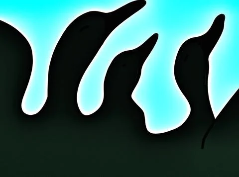 Shallow​ duck​ Stock Photos