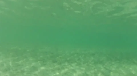 Shallow emerge to beach Stock Footage 24344122