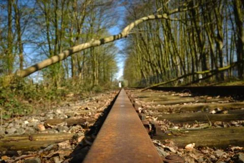 Shallow fallen tree on railway during a storm Fotos Stock
