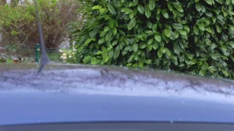 Shallow falling and jumping hail with rain on the roof of a car standing outside Stock Footage 126827966