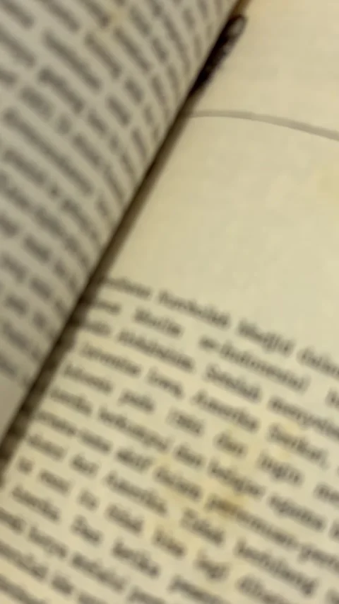 Shallow Focus Pull on Book Page Text Stock Footage 343501367