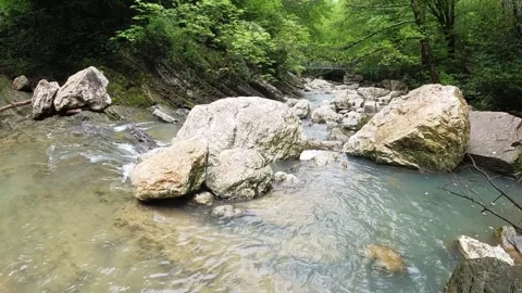 Shallow forest river flowing gently between rocks Stock Footage 312198164