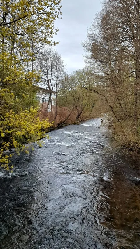 Shallow Forest River with Rapid Water Flowing Over Rocks 4K Vertical Video Stock Footage 332510786