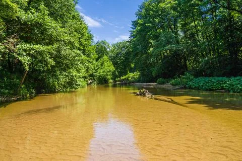 Shallow forest river with a sandy bottom Stock Photos