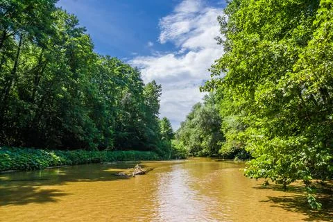Shallow forest river with a sandy bottom Stock Photos