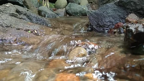 Shallow Forest Stream Flowing Over Stones and Pebbles Stock Footage 329783010