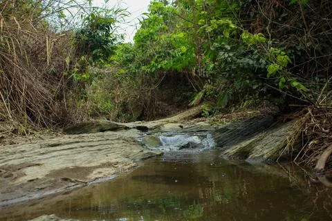 Shallow Forest Stream Flowing Over Rocks at Waterfall Tail, Bangladesh Stock Photos
