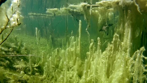 freshwater lake underwater
