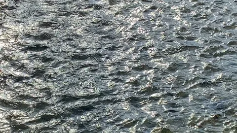 Shallow, highly textured stream reflecting sunlight 스톡 동영상 113861425