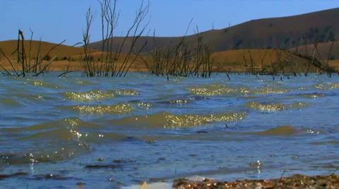 Shallow lake Stock Footage 1463463